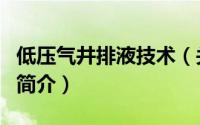 低压气井排液技术（关于低压气井排液技术的简介）