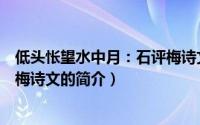低头怅望水中月：石评梅诗文（关于低头怅望水中月：石评梅诗文的简介）