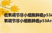 低氧调节非小细胞肺癌p53Arg72的分子机制研究（关于低氧调节非小细胞肺癌p53Arg72的分子机制研究的简介）
