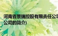 河南省景瑞控股有限责任公司(关于河南省景瑞控股有限责任公司的简介)