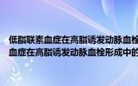 低脂联素血症在高脂诱发动脉血栓形成中的作用及机制（关于低脂联素血症在高脂诱发动脉血栓形成中的作用及机制的简介）