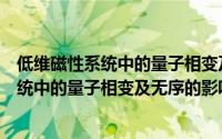 低维磁性系统中的量子相变及无序的影响（关于低维磁性系统中的量子相变及无序的影响的简介）