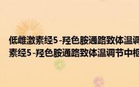低雌激素经5-羟色胺通路致体温调节中枢功能紊乱的机制（关于低雌激素经5-羟色胺通路致体温调节中枢功能紊乱的机制的简介）