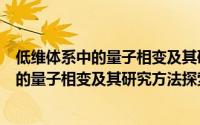 低维体系中的量子相变及其研究方法探索（关于低维体系中的量子相变及其研究方法探索的简介）