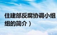 住建部反腐协调小组（关于住建部反腐协调小组的简介）