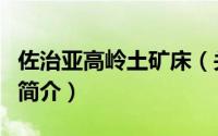 佐治亚高岭土矿床（关于佐治亚高岭土矿床的简介）