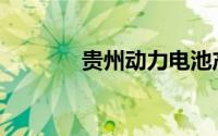 贵州动力电池产能达37GWh