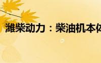 潍柴动力：柴油机本体热效率首次突破53%