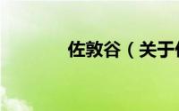 佐敦谷（关于佐敦谷的简介）