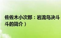 佐佐木小次郎：岩流岛决斗（关于佐佐木小次郎：岩流岛决斗的简介）