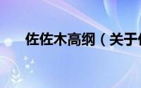 佐佐木高纲（关于佐佐木高纲的简介）