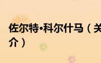 佐尔特·科尔什马（关于佐尔特·科尔什马的简介）