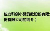 佐力科创小额贷款股份有限公司（关于佐力科创小额贷款股份有限公司的简介）