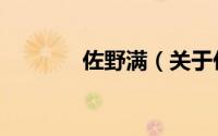 佐野满（关于佐野满的简介）