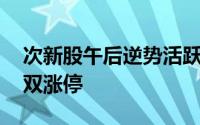 次新股午后逆势活跃 平安电工、西典新能双双涨停