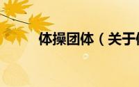 体操团体（关于体操团体的简介）