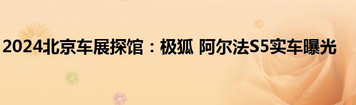2024北京车展探馆：极狐 阿尔法S5实车曝光