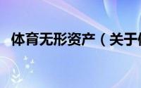 体育无形资产（关于体育无形资产的简介）