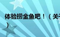 体验捞金鱼吧！（关于体验捞金鱼吧！的简介）