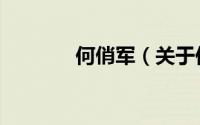 何俏军（关于何俏军的简介）