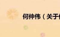 何仲伟（关于何仲伟的简介）