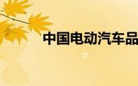中国电动汽车品牌在美国知名度
