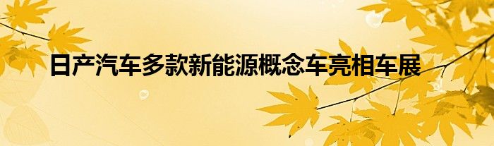 日产汽车多款新能源概念车亮相车展