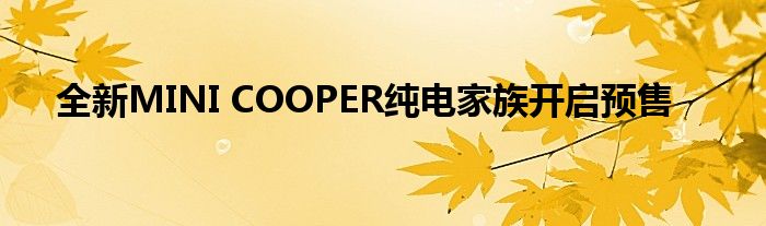 全新MINI COOPER纯电家族开启预售