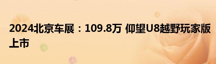 2024北京车展：109.8万 仰望U8越野玩家版上市