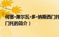 何塞·席尔瓦·多·纳斯西门托（关于何塞·席尔瓦·多·纳斯西门托的简介）