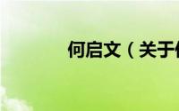 何启文（关于何启文的简介）