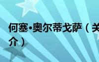 何塞·奥尔蒂戈萨（关于何塞·奥尔蒂戈萨的简介）