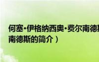何塞·伊格纳西奥·费尔南德斯（关于何塞·伊格纳西奥·费尔南德斯的简介）