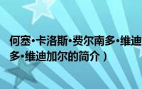 何塞·卡洛斯·费尔南多·维迪加尔（关于何塞·卡洛斯·费尔南多·维迪加尔的简介）