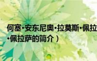 何塞·安东尼奥·拉莫斯·佩拉萨（关于何塞·安东尼奥·拉莫斯·佩拉萨的简介）