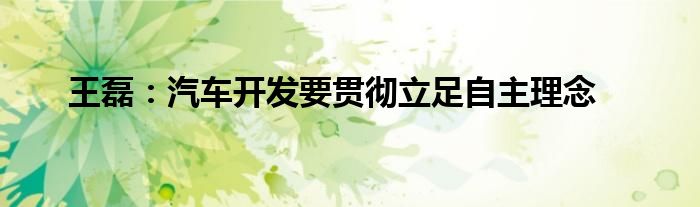 王磊：汽车开发要贯彻立足自主理念