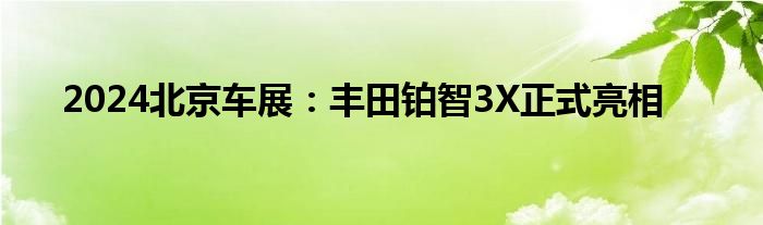 2024北京车展：丰田铂智3X正式亮相