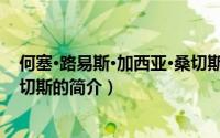 何塞·路易斯·加西亚·桑切斯（关于何塞·路易斯·加西亚·桑切斯的简介）