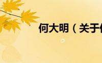 何大明（关于何大明的简介）