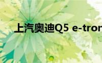 上汽奥迪Q5 e-tron RS套件竞速版亮相