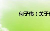 何子伟（关于何子伟的简介）