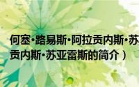 何塞·路易斯·阿拉贡内斯·苏亚雷斯（关于何塞·路易斯·阿拉贡内斯·苏亚雷斯的简介）