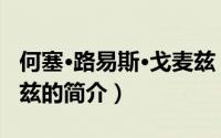 何塞·路易斯·戈麦兹（关于何塞·路易斯·戈麦兹的简介）