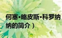 何塞·略皮斯·科罗纳（关于何塞·略皮斯·科罗纳的简介）