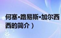 何塞·路易斯·加尔西（关于何塞·路易斯·加尔西的简介）