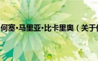 何塞·马里亚·比卡里奥（关于何塞·马里亚·比卡里奥的简介）