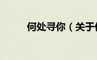 何处寻你（关于何处寻你的简介）