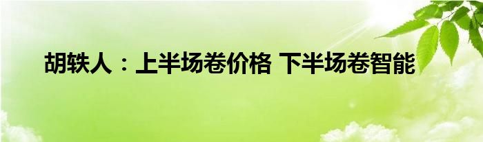 胡轶人：上半场卷价格 下半场卷智能