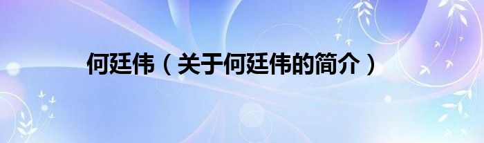 何廷伟（关于何廷伟的简介）