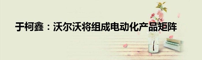 于柯鑫：沃尔沃将组成电动化产品矩阵